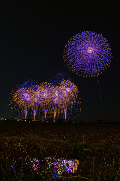 有限会社カイシマエンタープライズ